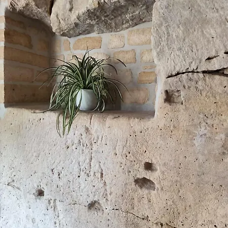 La P'tite Troglo Casa de Férias *